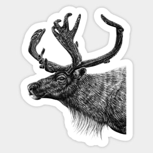 Reindeer Sticker